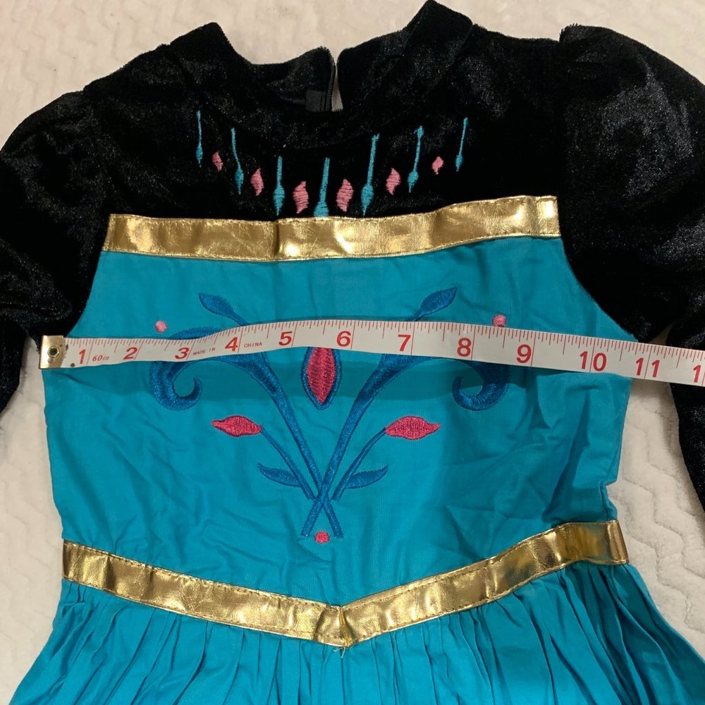 Princess Anna Frozen costume halloween dress